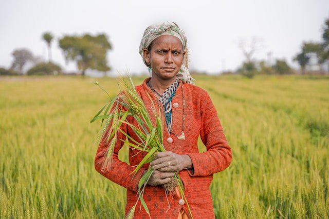 जैविक खेती प्रशिक्षण